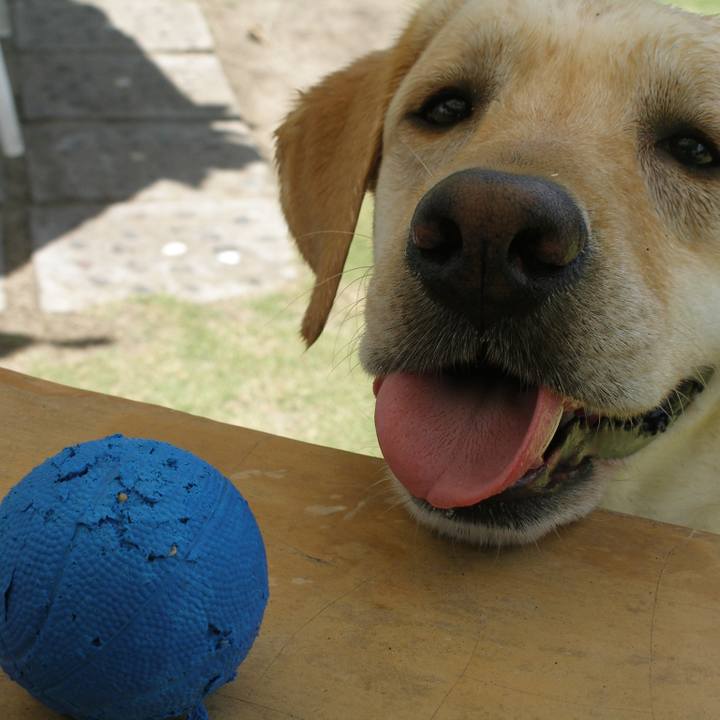 0d76fb37 957c 4ae0 b5f5 588259aaea6a