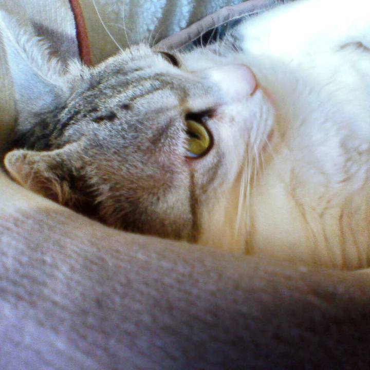 0d7751d9 2607 49d0 876f 1faf4204ef15