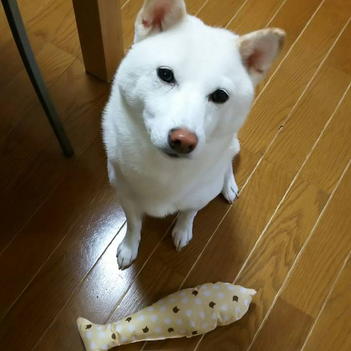 0d77550c a454 48b4 aebd 3e32f1f6be2b