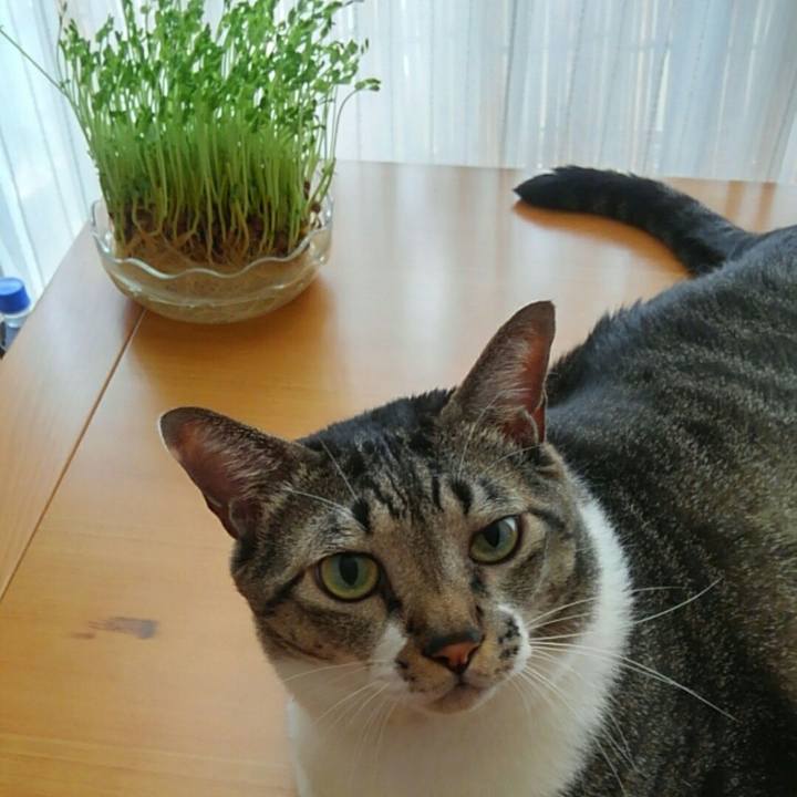 0d77ba83 e678 4c5d a13c f7a2fb14b657