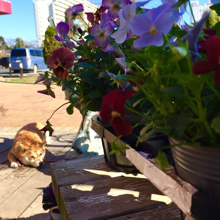 0d785e37 78dd 4594 99e2 34fc8f18f53f