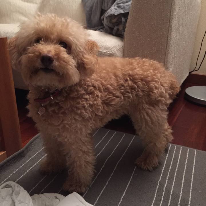 0d7894de 5709 4329 8223 7feda3d046e8