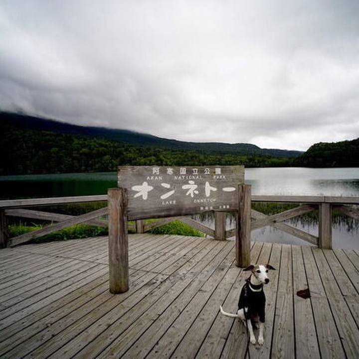 0d78d419 de26 4fd5 bd4f 7b165dcf0155