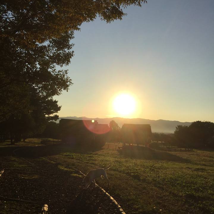 0d794d3f 68e8 4ef1 a85b 89adaee296a9