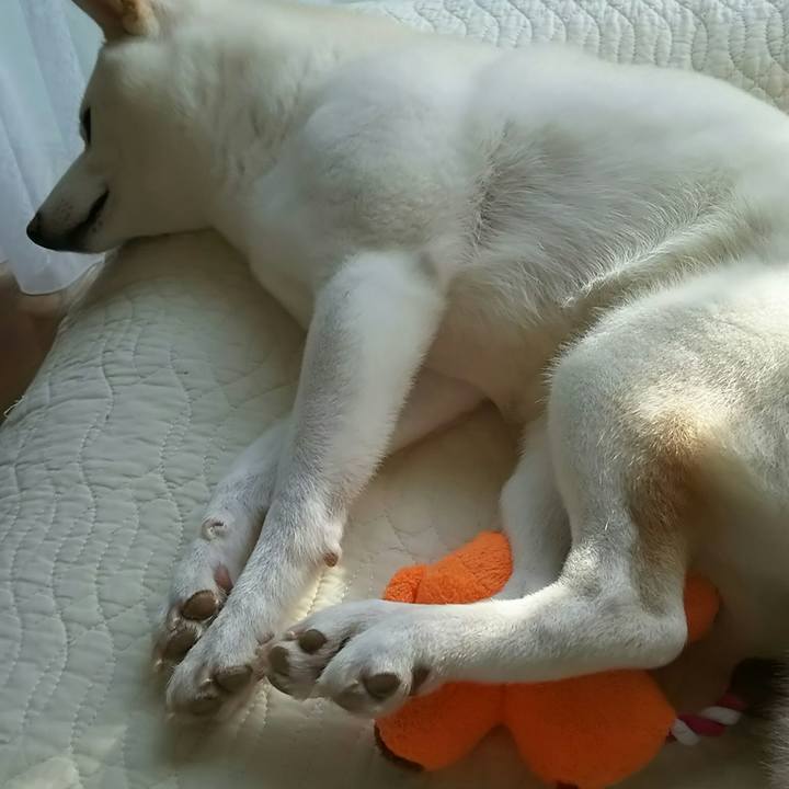 0d79614b a0db 459e b05b aba551129f88