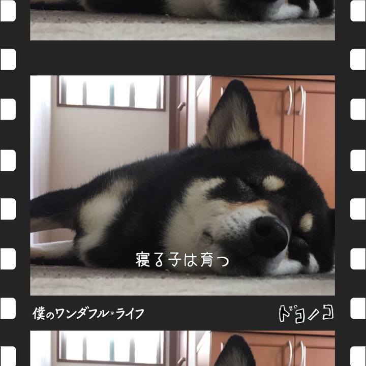 0d79d1a1 fe80 40ee 976c ed48ed0dc0cb