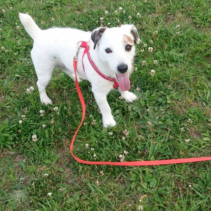 0d79eb6c 8ae5 470a 87f1 b98f07acd58b