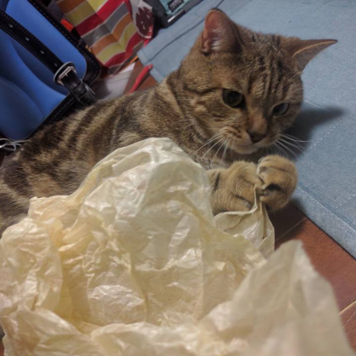 0d7a7275 4f02 40da b30c 1ea217bbbef3