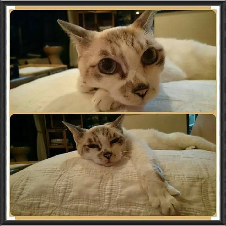 0d7a80f5 7570 476f 8e96 5cf04e6e4bc7