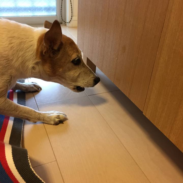 0d7bad6e 6048 40fc b128 4e7b333c9ec1