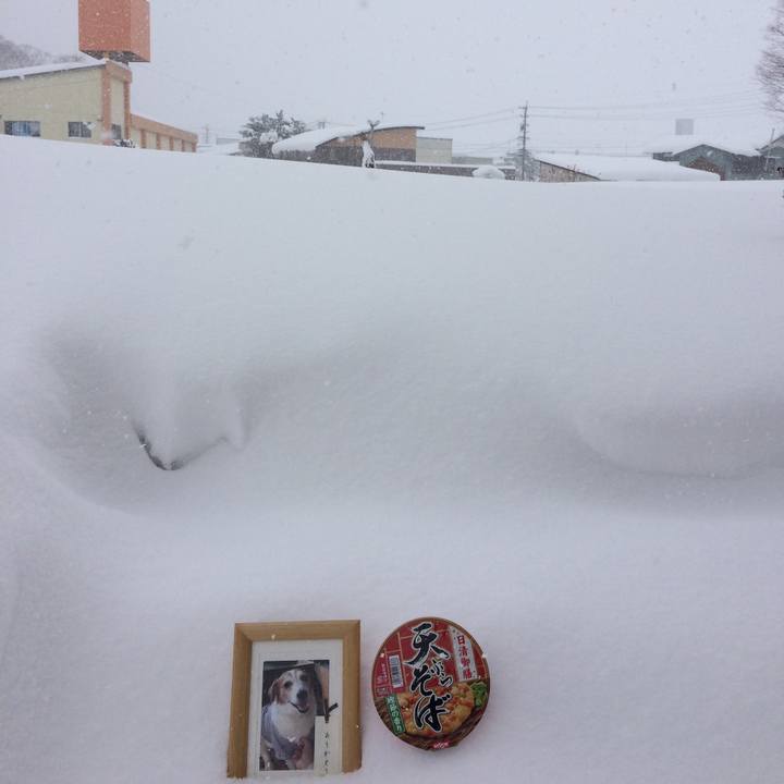 0d7c17ef 466e 4d9e 9c4a 29d0df15fb63