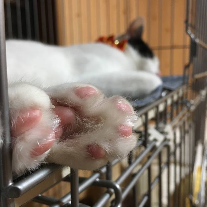 0d7c1816 43dc 4fa8 bc01 e4b538087923