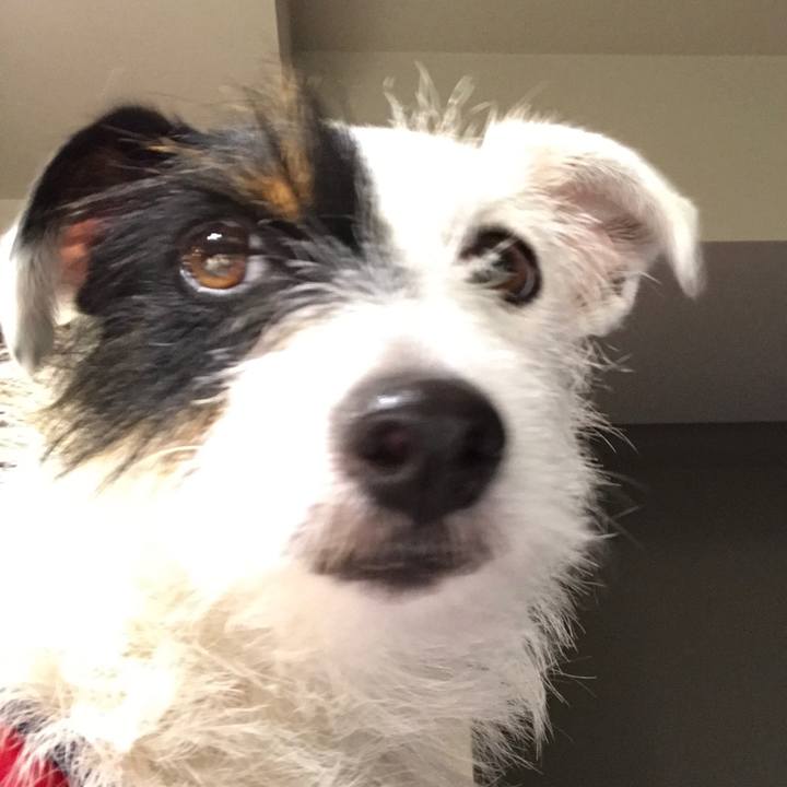 0d7cdb06 a18e 4b44 bd4e de042785cc14