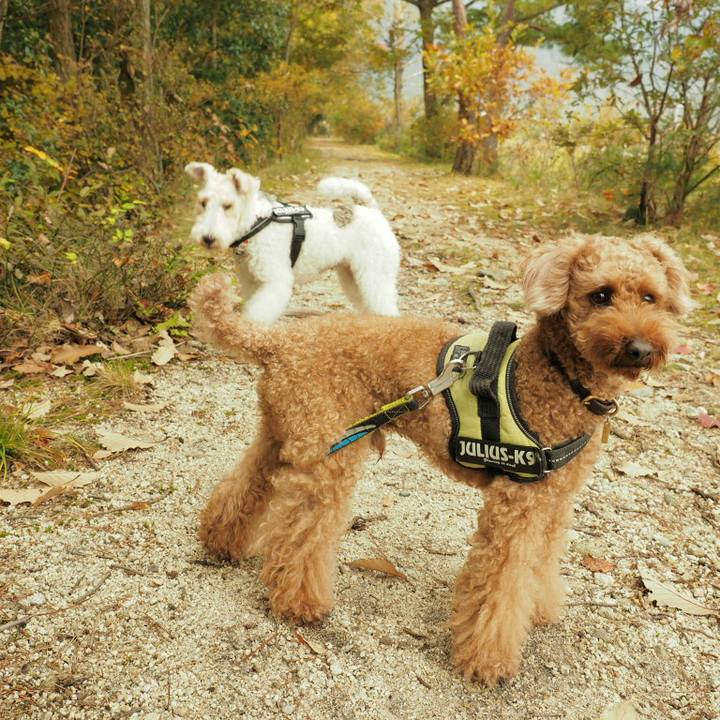 0d7cec08 aca3 49f2 b948 bd657d2e0bef