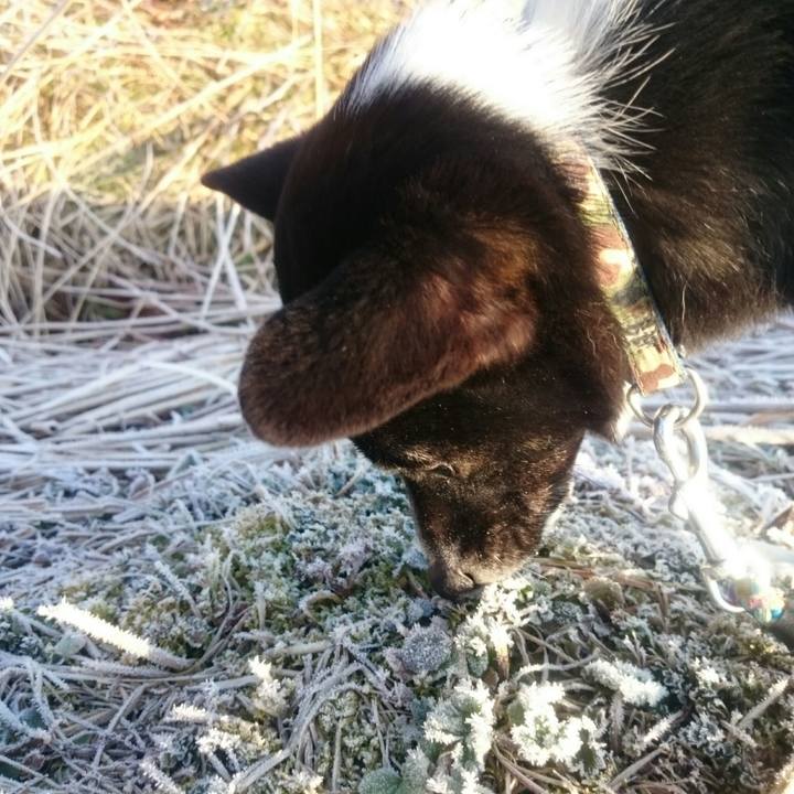 0d7cfc20 4534 4b39 8456 c6c991f65cbd