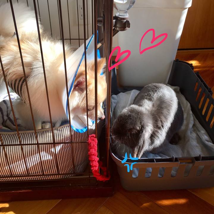 0d7d58df c6e7 4cc4 a1ba 45d4a59a3894