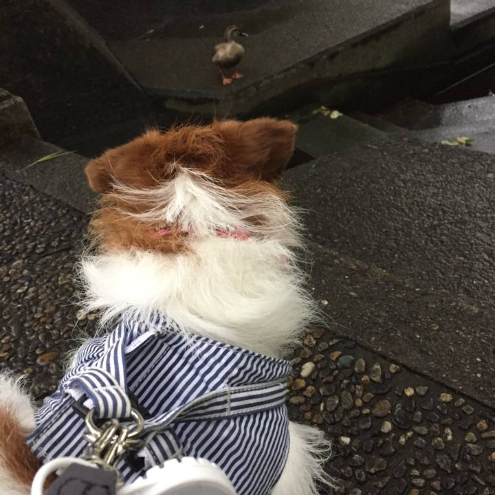 0d7d9473 6c21 489f 85c9 63ef3d1559c0