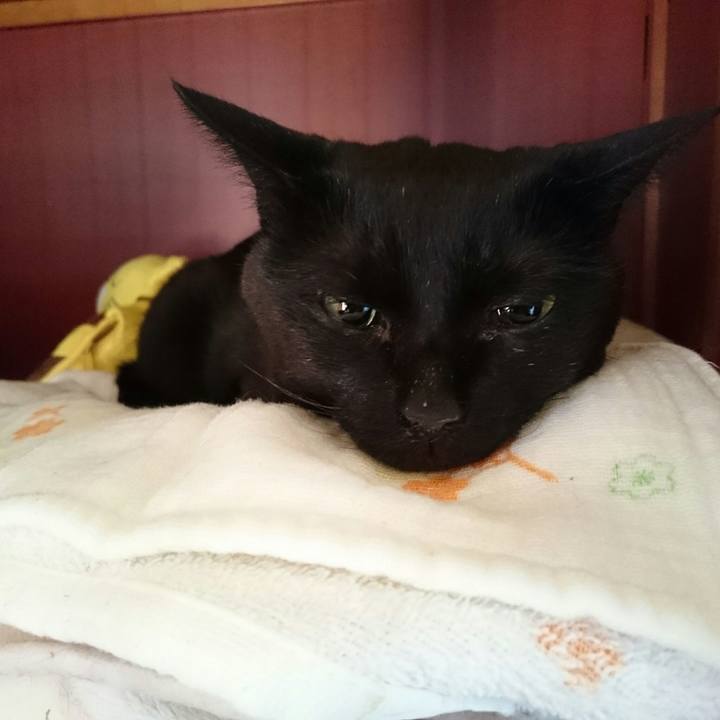 0d7db028 41f2 4f92 aef0 8cf486710cc2