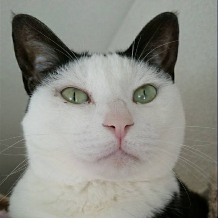 0d7e6727 e8f0 481c ab66 bbb3092c0385