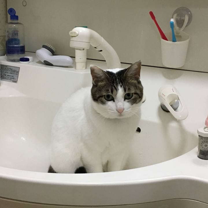 0d7ebeea 1ca8 4a5e 9172 529714028415