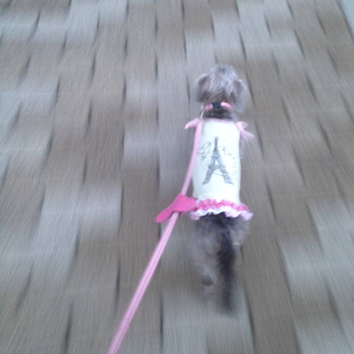 0d7ed43c 4744 442b 8a70 df3df720bede