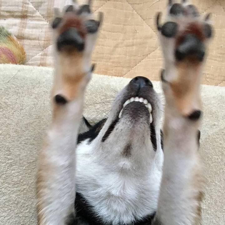 0d7f8881 505d 4742 8df5 71155c01bc20