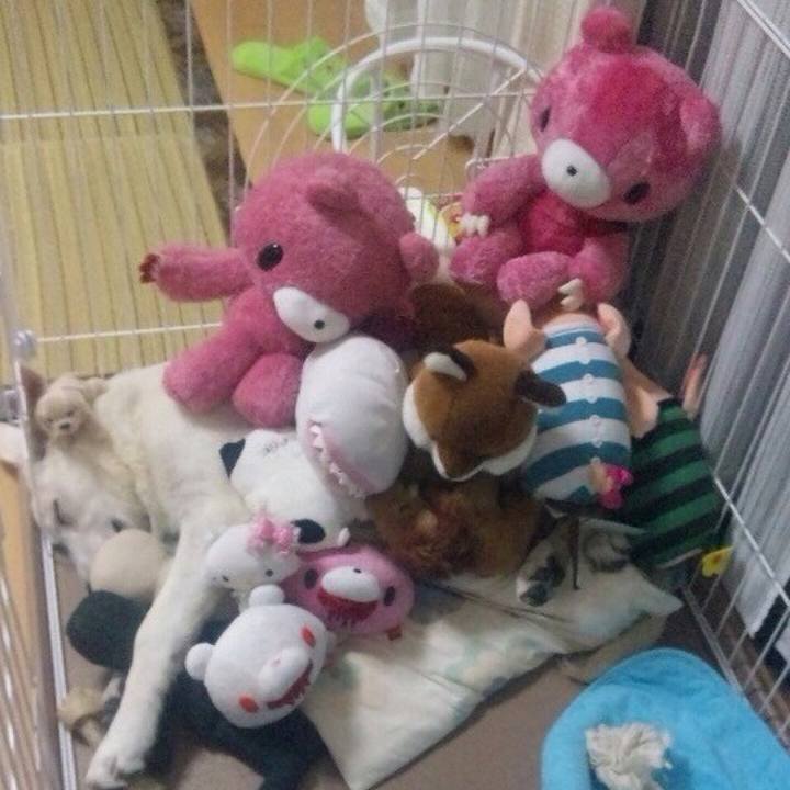 0d7ffa82 5702 484c 9564 ee730793bc15