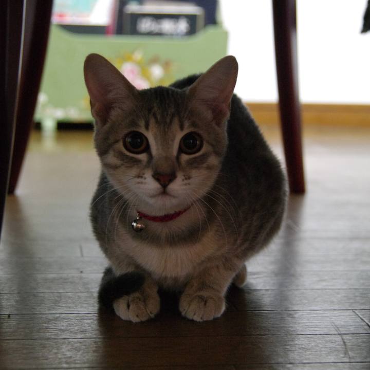 0d80afb8 0565 4f19 b174 2603b08d2524