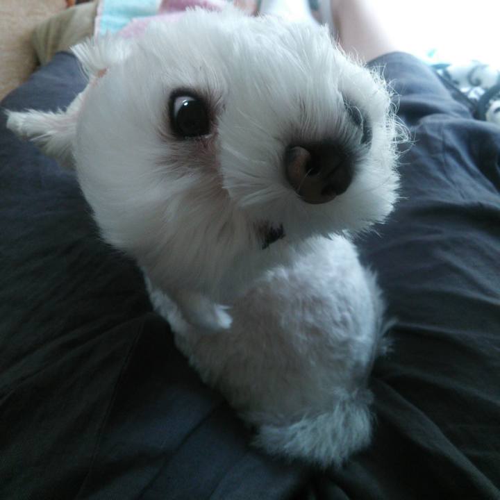 0d80c750 2f17 4298 b631 c5ee38cd2f57