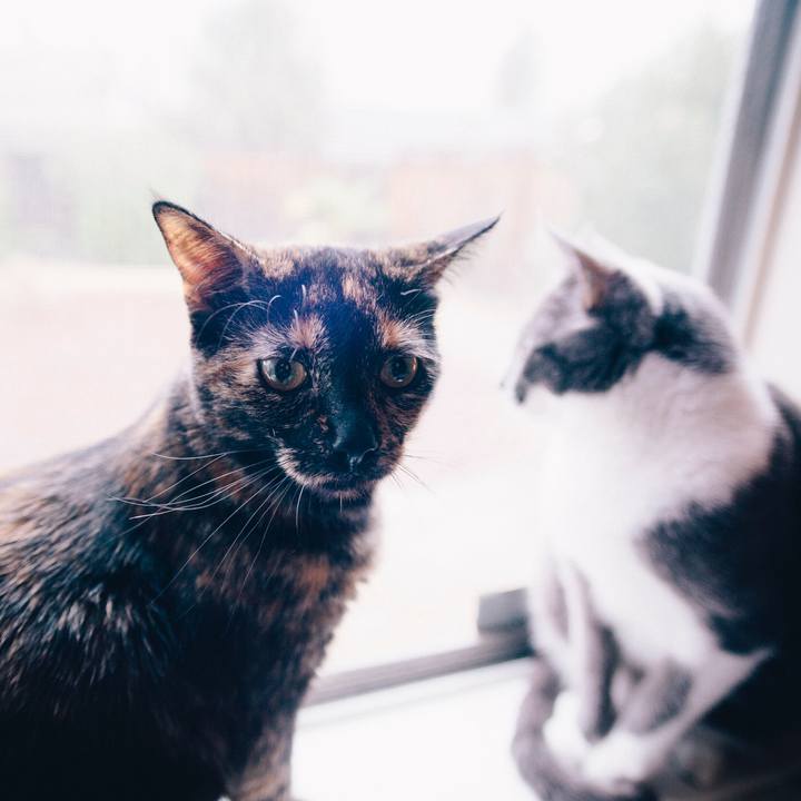 0d8144e9 5701 4eba 8791 ee04259a7df1