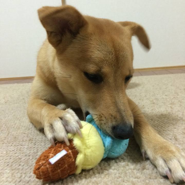 0d81b19b 8851 4564 9539 484f71140628