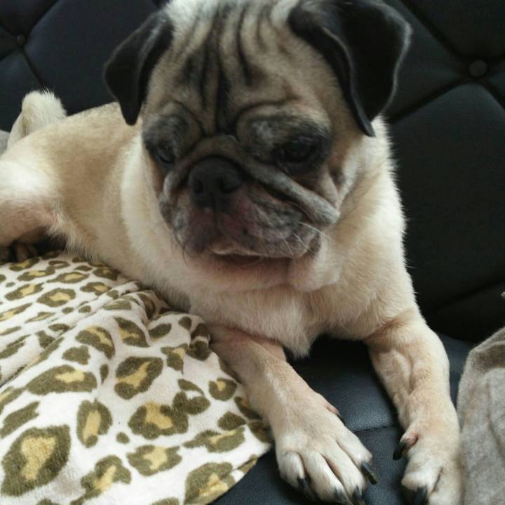 0d81baca 2395 4146 8617 10ef43c7a485