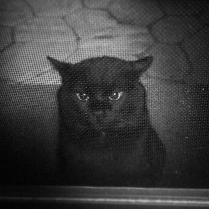 0d821180 d39b 4ed1 91fe b1eb709fd16f