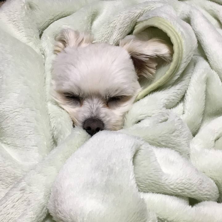 0d825667 97a2 438c 8dee f0de76c9037b