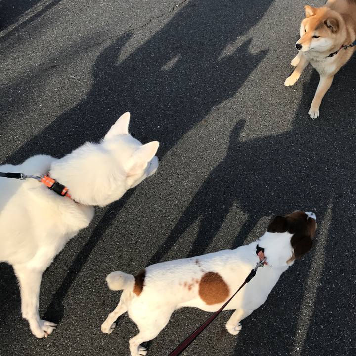 0d82a0dc d8c5 4773 9880 f52e861ca5e3