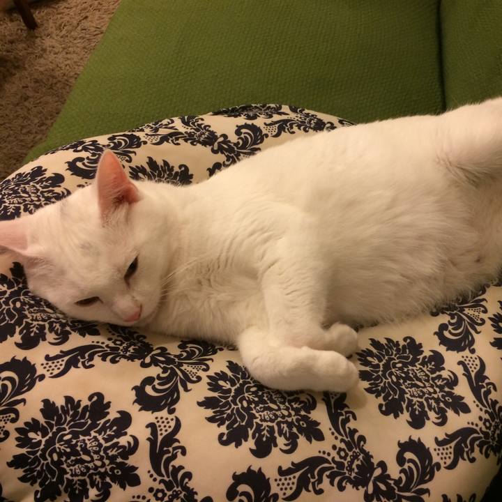 0d82f24c 4b7d 4812 a393 b76bf905241c