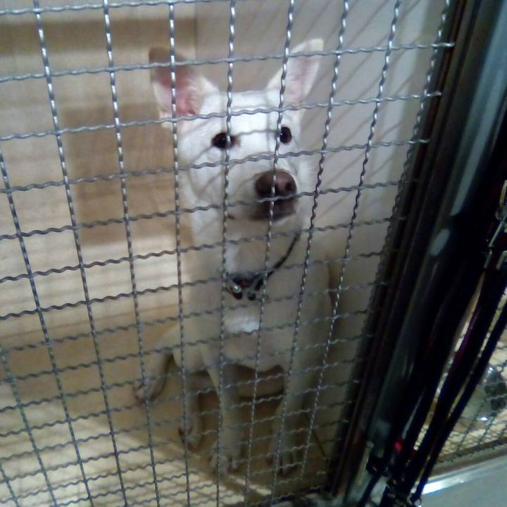 0d8490e3 2adc 4681 b80b 89e060538e65