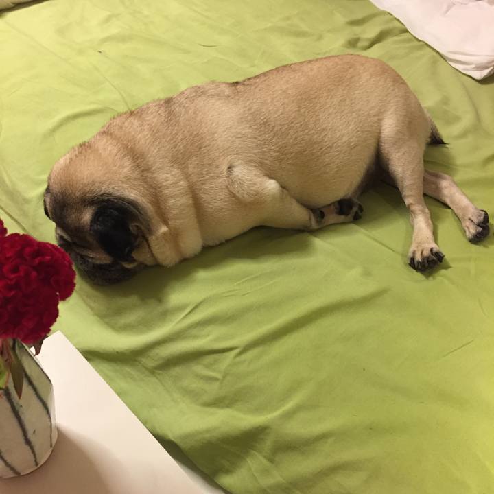 0d84b754 72da 4975 ad22 dcc0a7bb0c9f