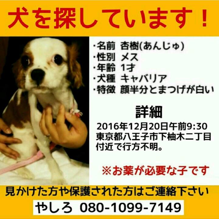 0d84ea86 da08 4311 96a2 4bf40f2735bf