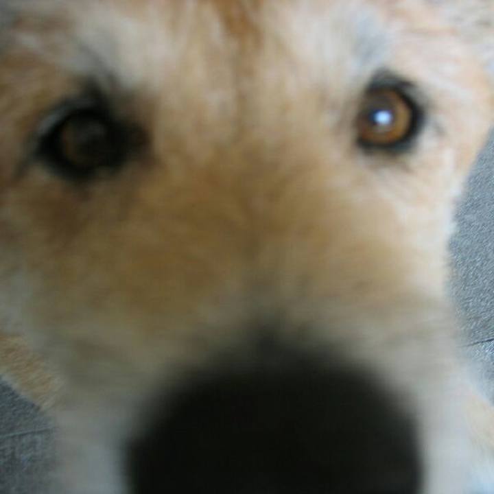 0d84f2ed 65d9 4a3f 949f c6e65c775cde