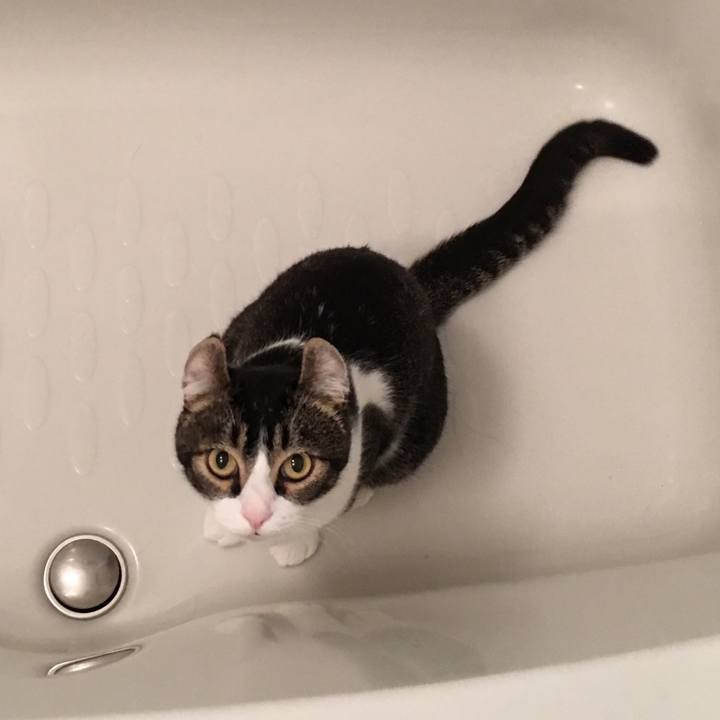 0d850e2c 3311 462c a047 fcb5fbbc0d88