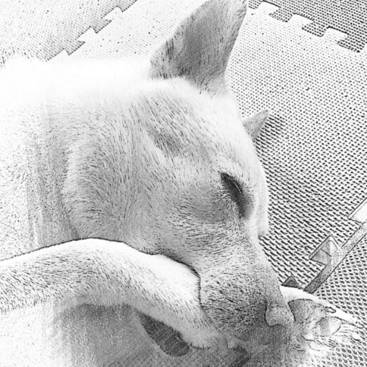 0d859b5f f33e 4574 aae2 fa0243ec1c37