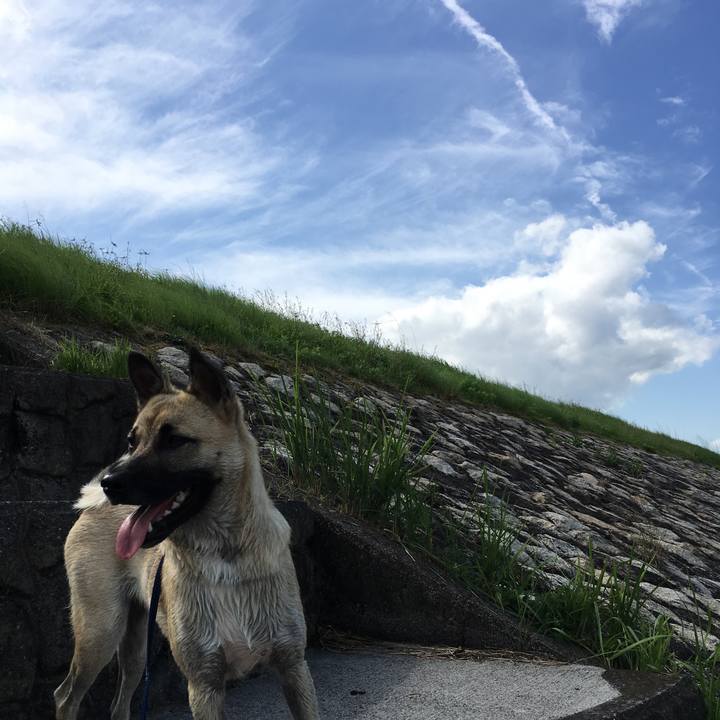 0d87342f 0c55 4840 a223 19c713fc15b9