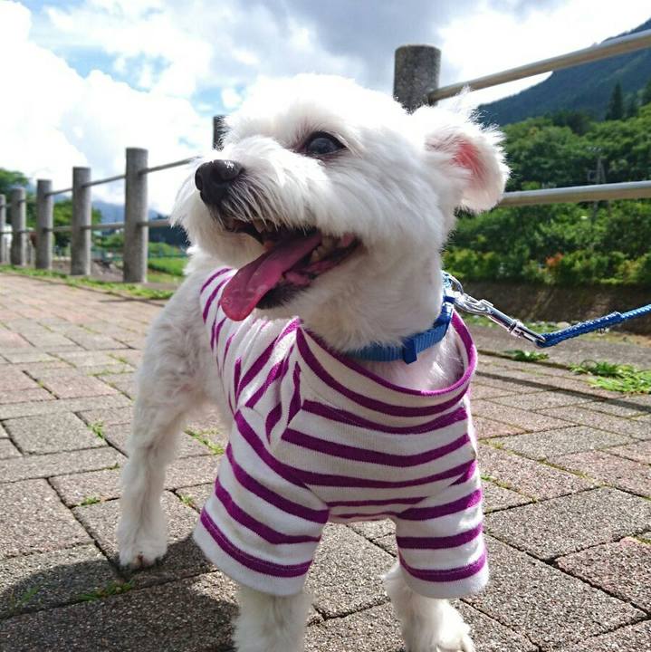 0d87406e 6368 4996 ac51 3d9c7701a7a8