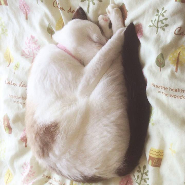 0d879eaf 7c46 42eb a802 d690ca875f0d