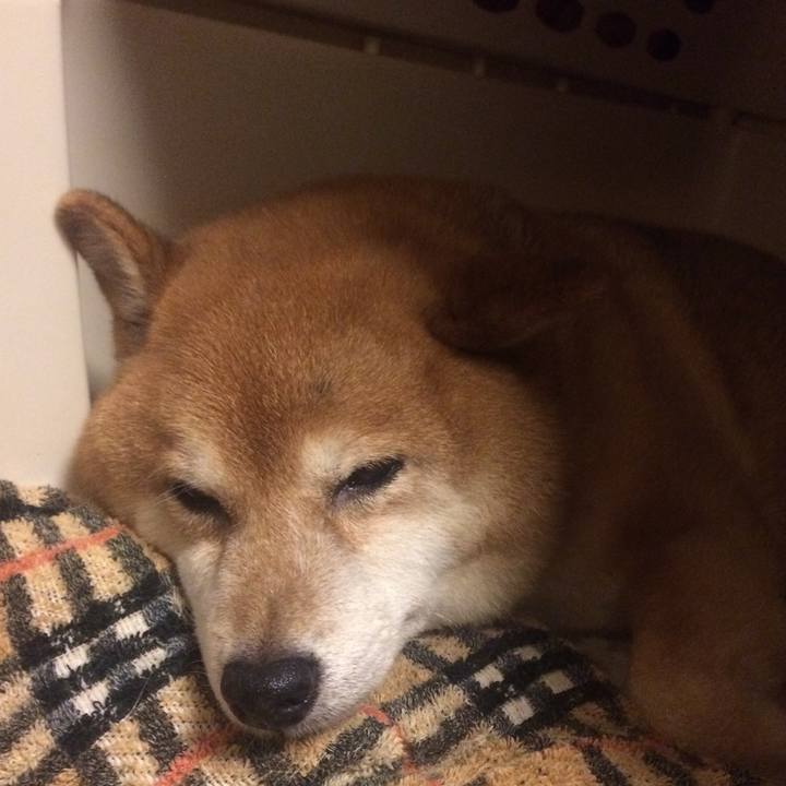 0d87da89 b3c1 4ee7 bfa5 5a6db13e4bb8