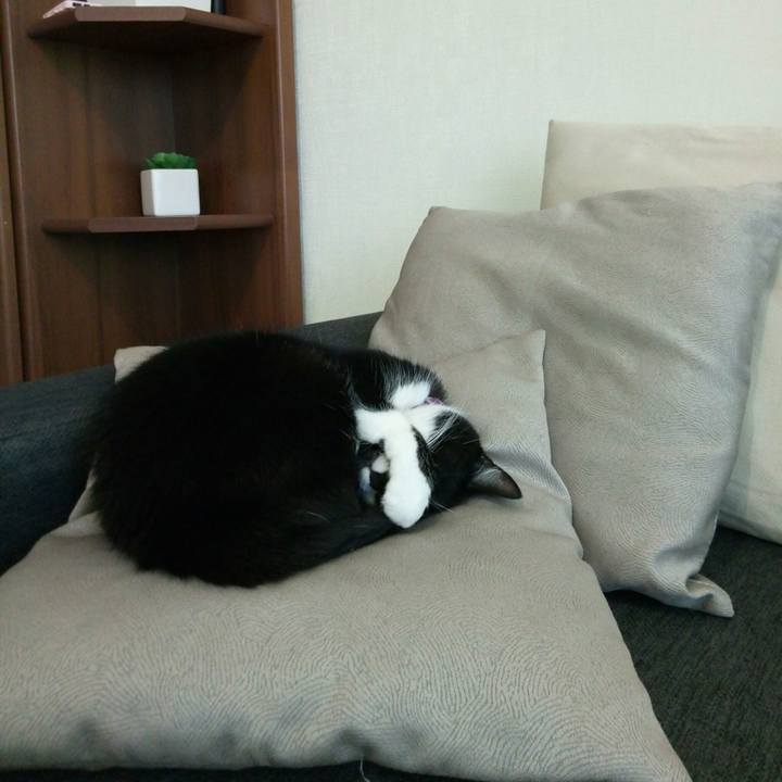 0d87fd71 16e1 463a a2e7 cd5d8d86f47a