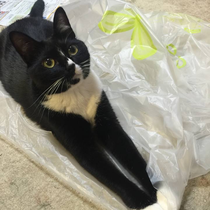 0d88bbcd 7429 4abb adcf 3448f5ec704b