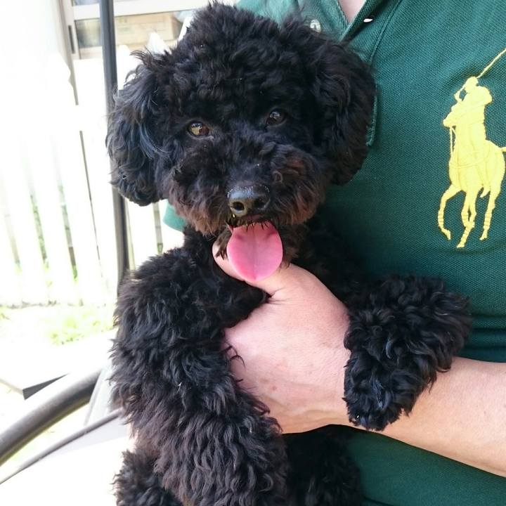 0d89acc3 c133 4c04 9847 d6d9caaed3e4