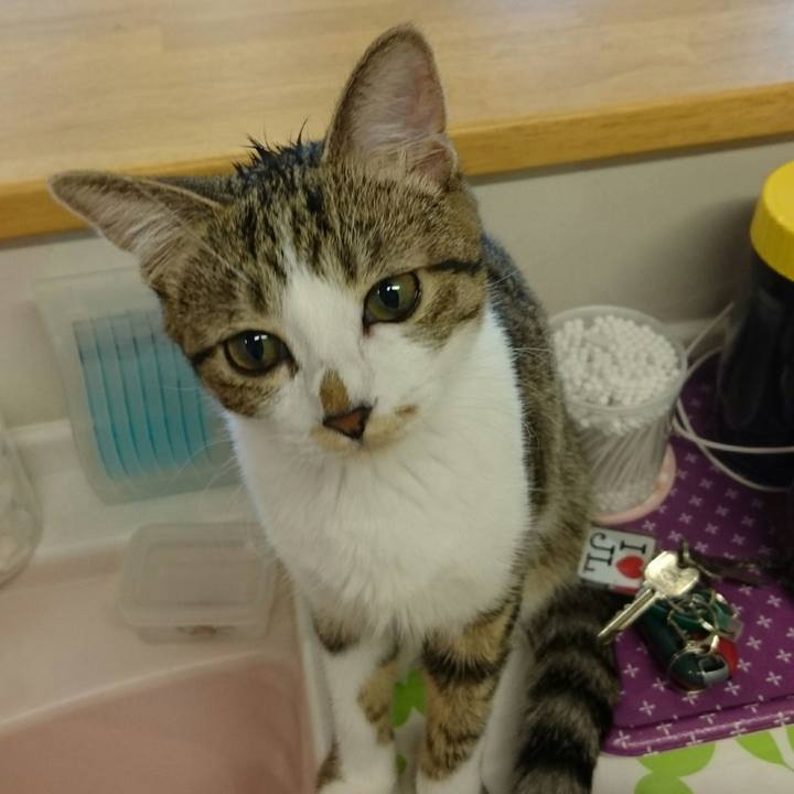 0d8a94bd 7506 43b1 8d95 2a903973b5fa